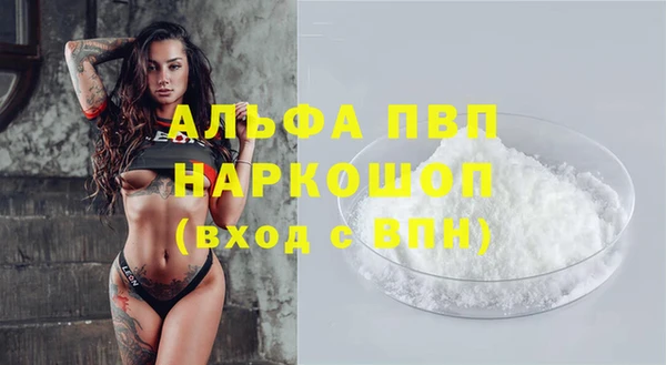 стаф Инсар
