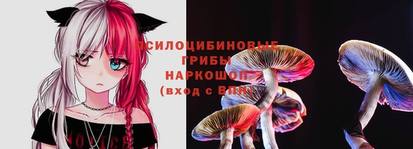 герыч Каменногорск