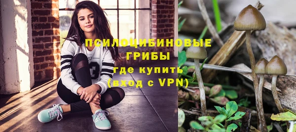 стаф Карталы